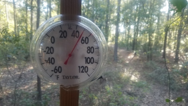 Fall has fallen, Thermometer