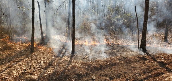 [Fire approaching new firebreak]