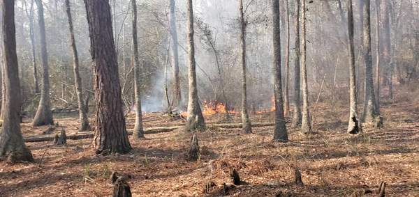 Movie: Lots of water with fire approaching (27M)