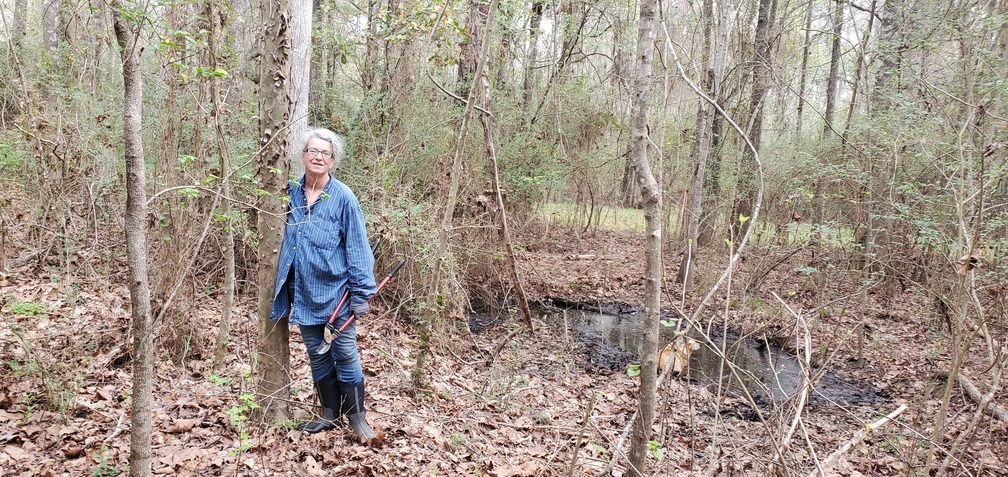 Gretchen with a sycamore tree