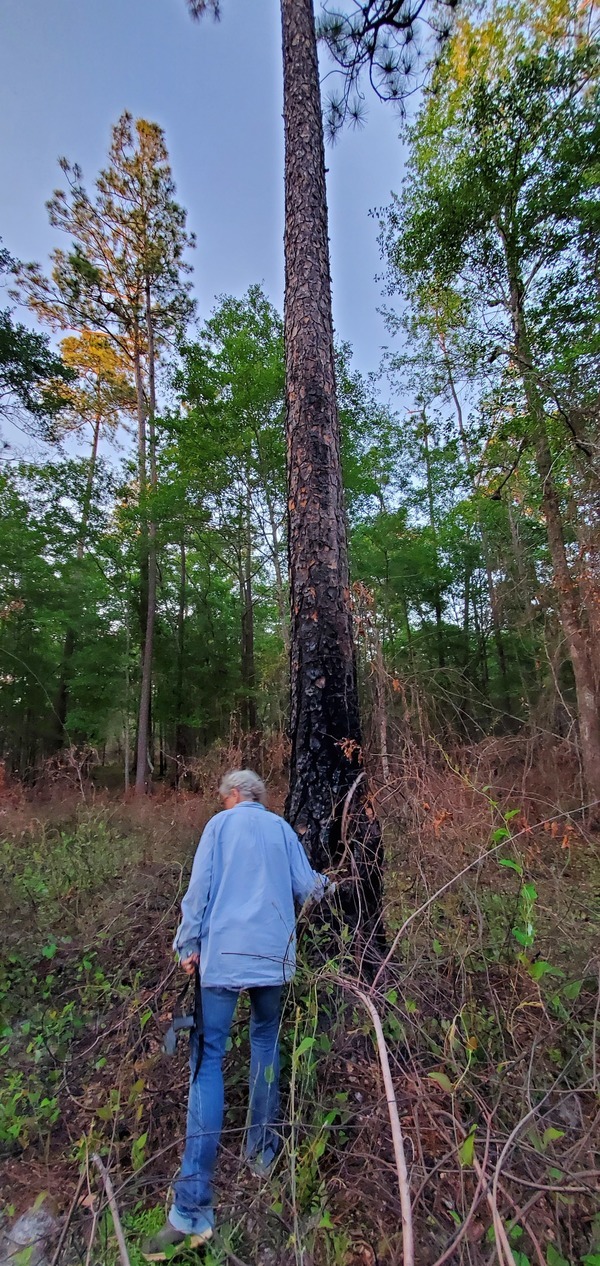 [Gretchen for scale]