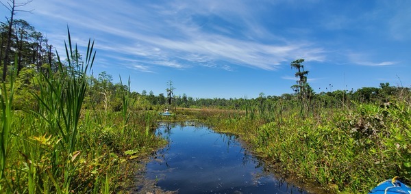 [Main pond]