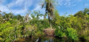 [North side with trees]