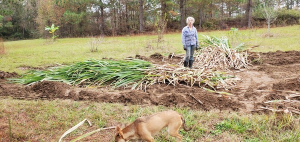 [How much more cane?]