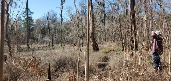 [Gretchen and a beaver pond]