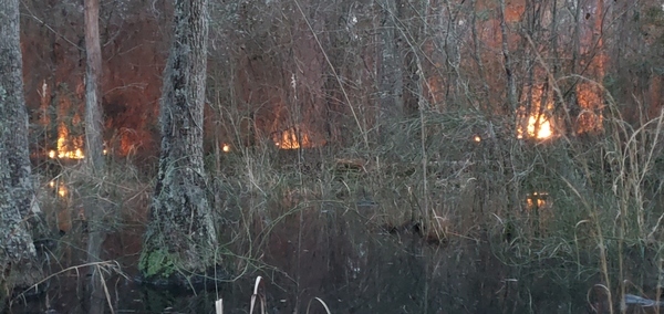 Swamp end fires