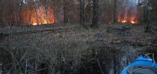 Swamp end shore fires