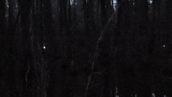 Movie: Dark swamp fires (59M)