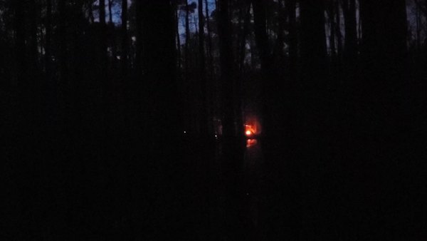 Movie: Fire around the dark swamp (46M)