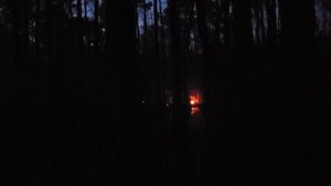 [Movie: Fire around the dark swamp (46M)]