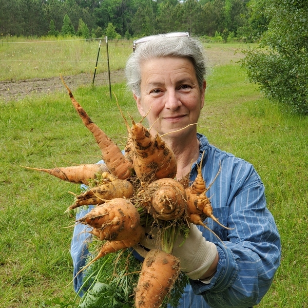 [Gretchen, carrots, garden]