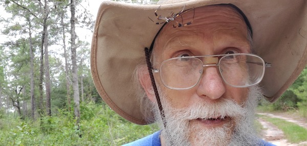 [Orb weaver spider on hat]