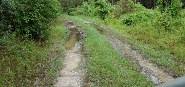 Driveway creek