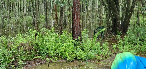 Chair was above high water mark