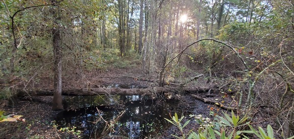 Sinkhole, meteor, airplane crash?