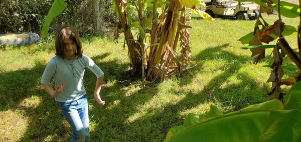 Dancing with tractor tire