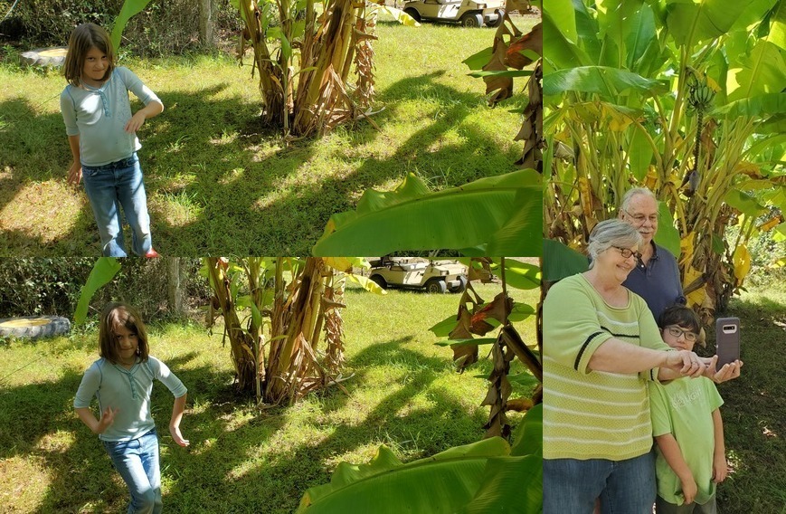 Margaret, Graden, Patrick, Ann, Bananas