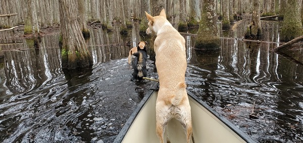 [Blondie in boat, Arrow, Honeybun]