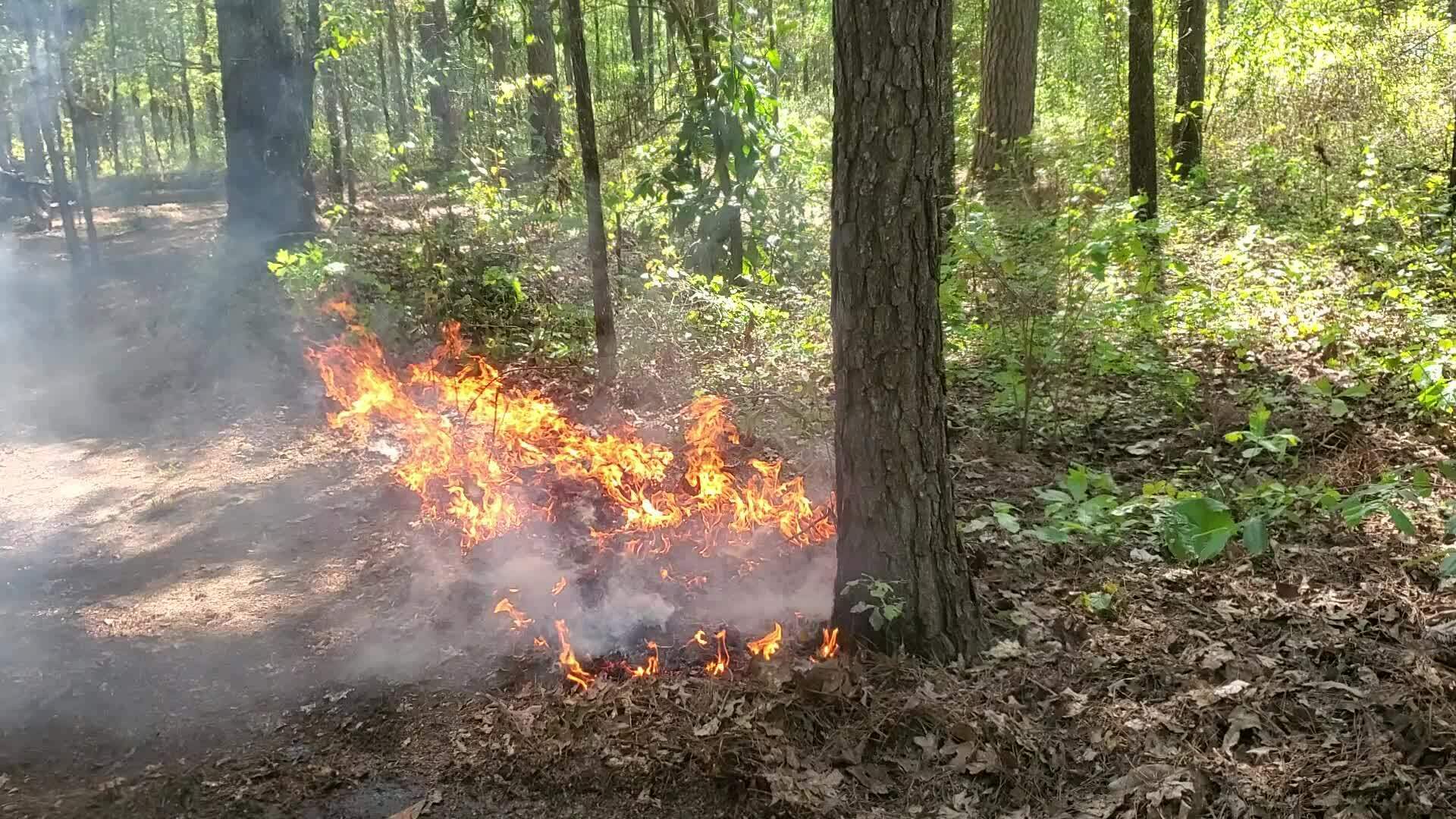 Movie: Burning nicely (13M)