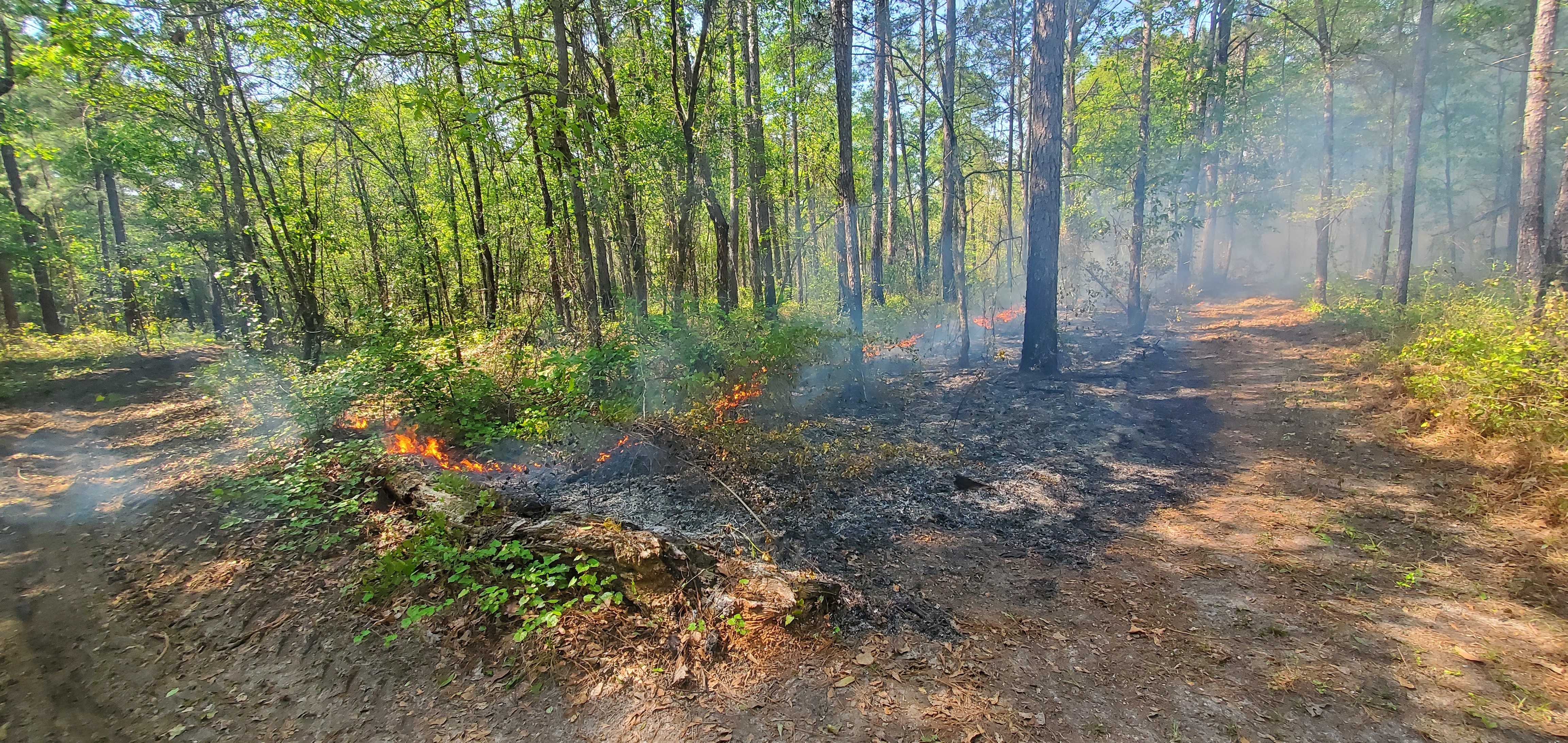 Even this oaky corner burned