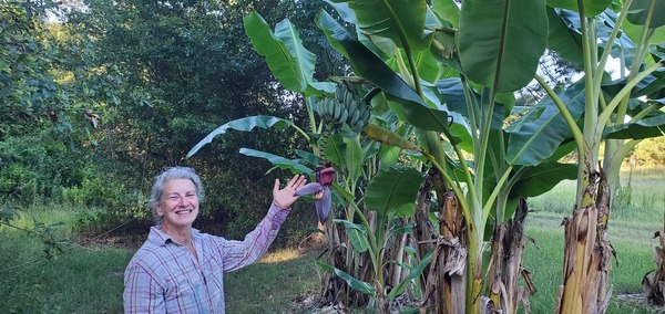 [Gretchen and her bananas]