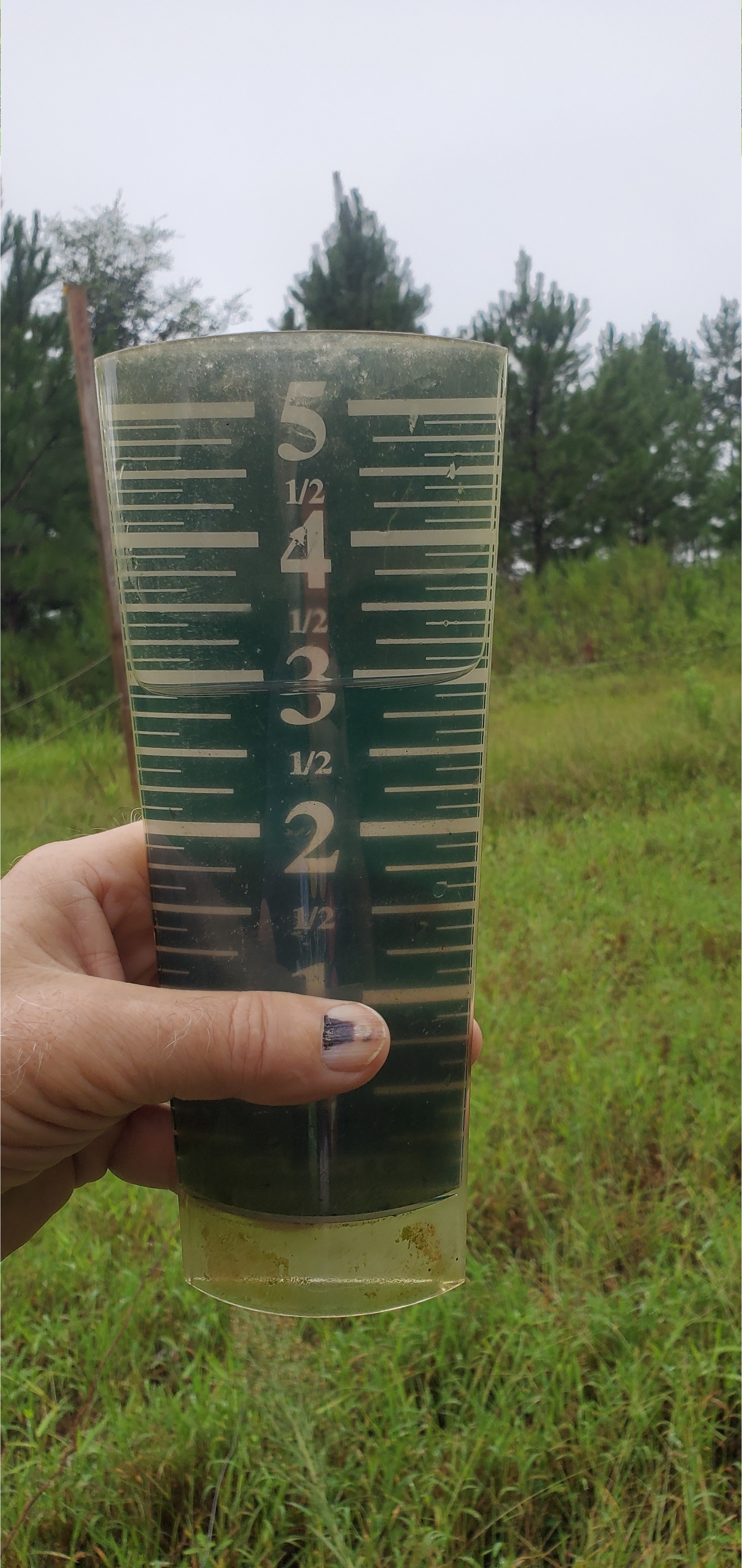 Garden gauge: 3 inches