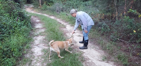 [Blondie with a stick]