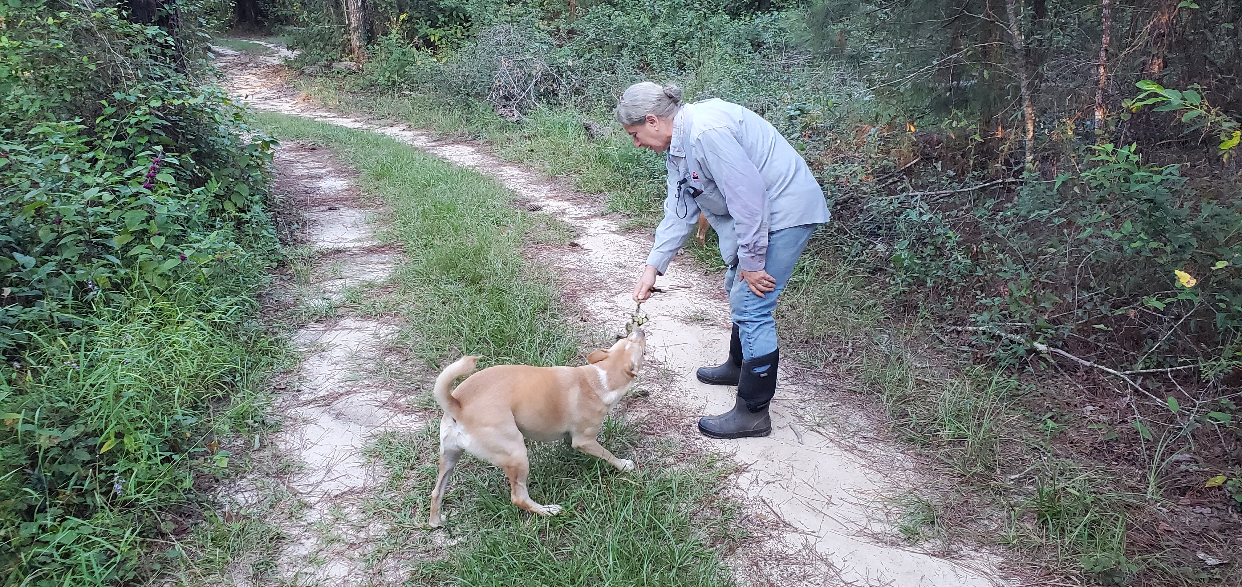 Blondie with a stick