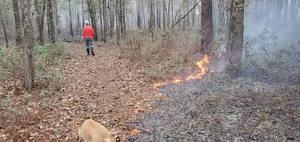 Blondie the fire dog