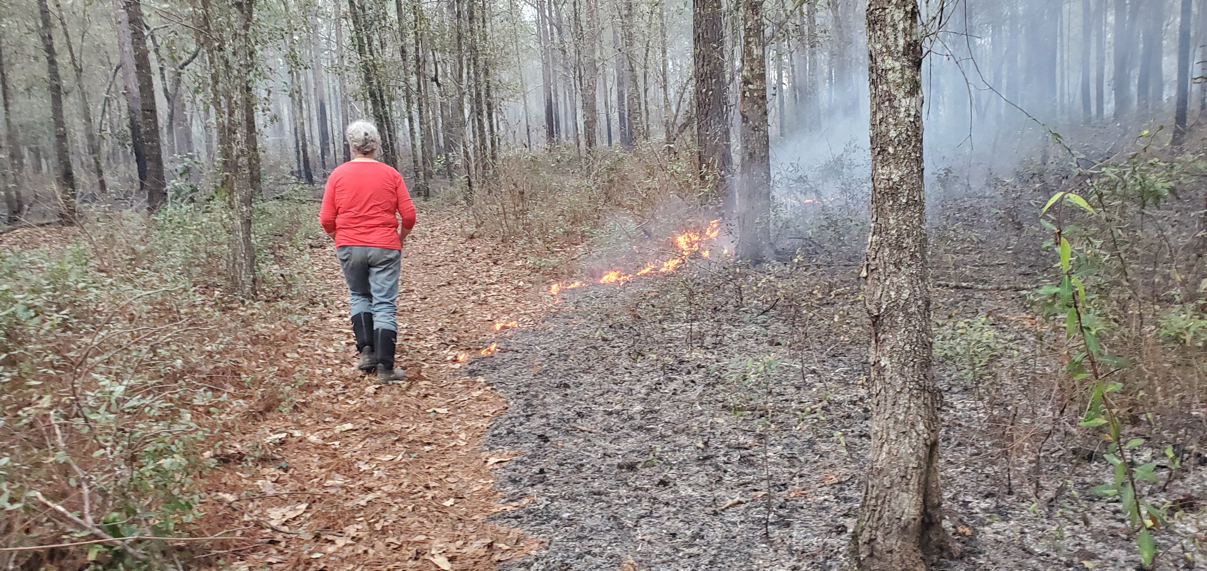 Gretchen on a path the fire eventually crossed