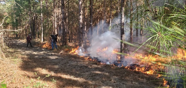 Gretchen and a neighbor spreading the fire