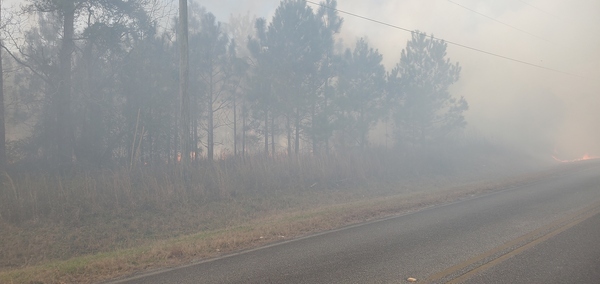 Fire approaching Quarterman Road