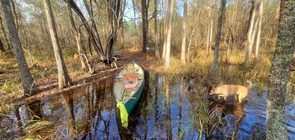 [Honeybun, Arrow, Blondie, canoe]