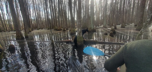 Arrow on a log, Gretchen in the canoe