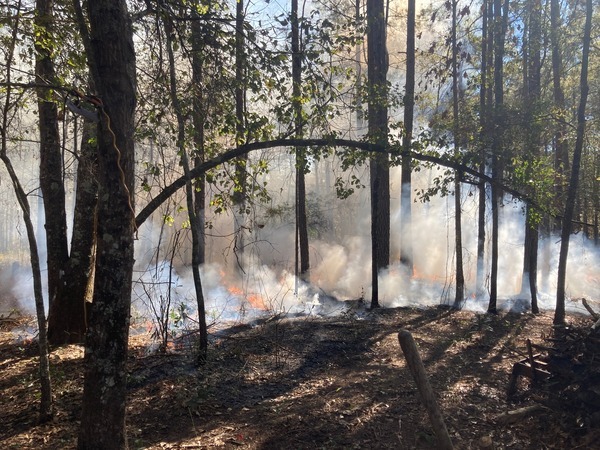 [Prescribed burn around the house 2022-12-26]