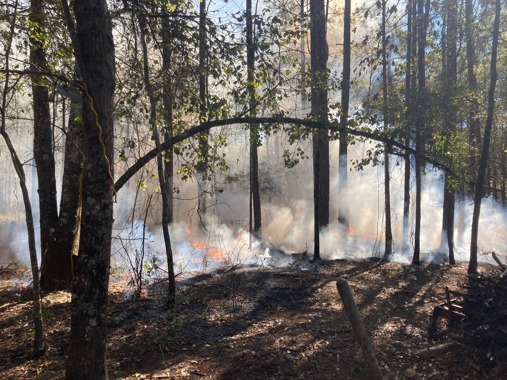 Prescribed burn around the house 2022-12-26