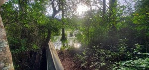 [Flat boat and pond]