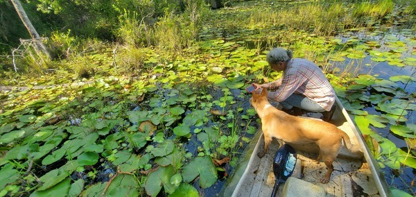 Lilies, Gretchen, Blondie