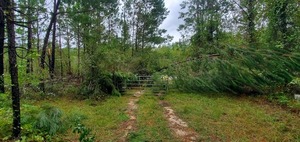 [Solar panel on ground under gate 2023-08-30]