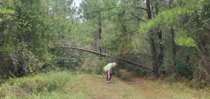 [Gretchen picking up solar panel support 2023-08-30]