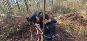 [Natasha and Max examine the pine tree wedge]