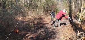 [Gretchen getting some pine straw to burn]