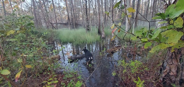 River likes water even if it's cold