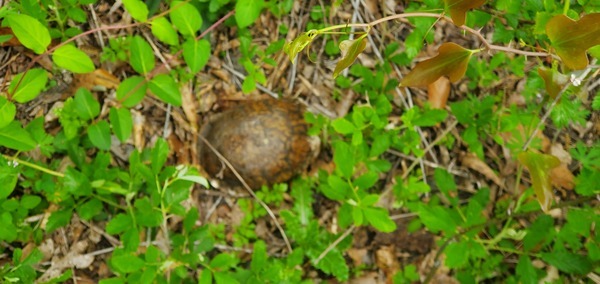 [In the grass]