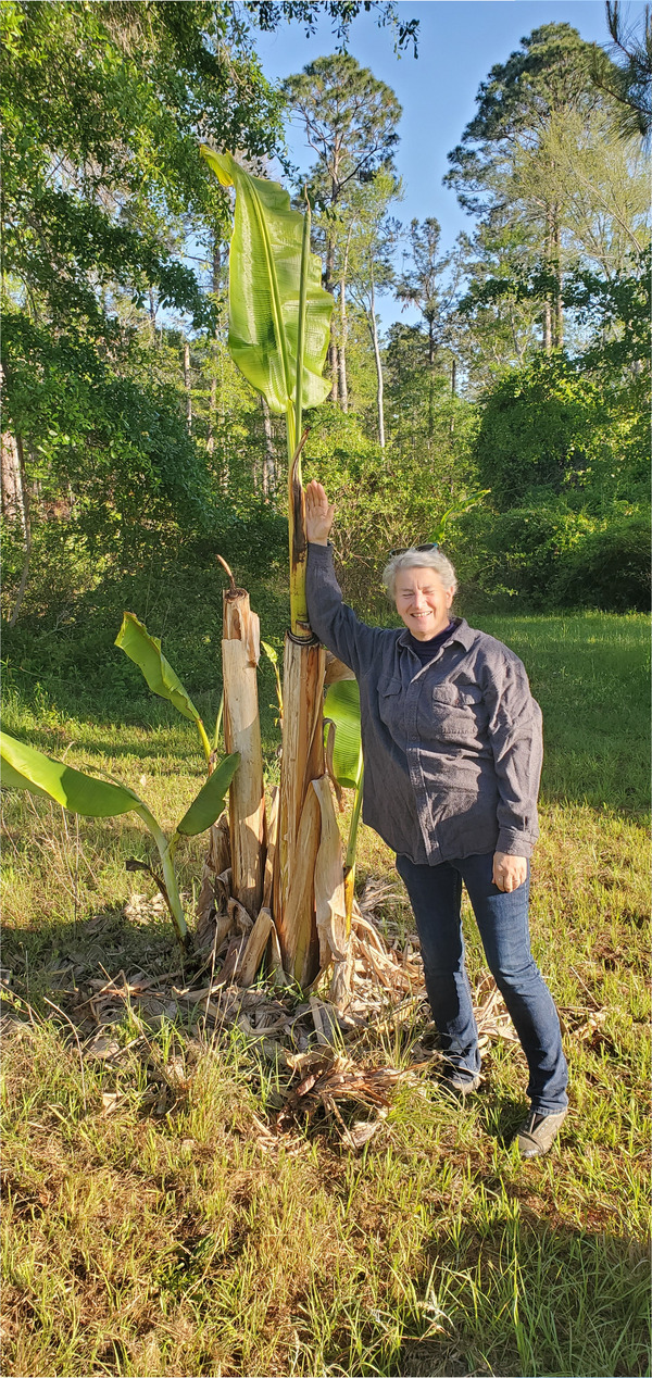 [Gretchen and a banana plant]