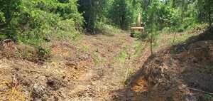 [Movie: Digging backhoe]