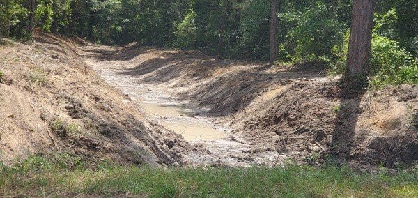 [Closeup, Near Hambrick Road, 2025:05:01 11:56:46]