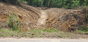 [Closeup, 6431 Quarterman Road, 2025:05:01 11:53:54]