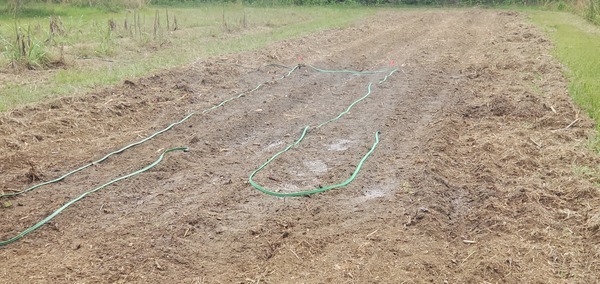 [Watering hose just before the rains]