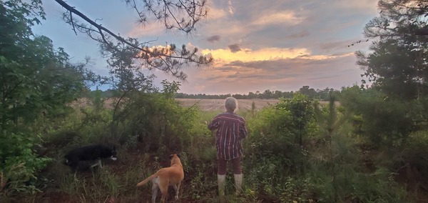 [River, Honeybun, Blondie, Gretchen, Lucky Peggy's north field, and the sky]